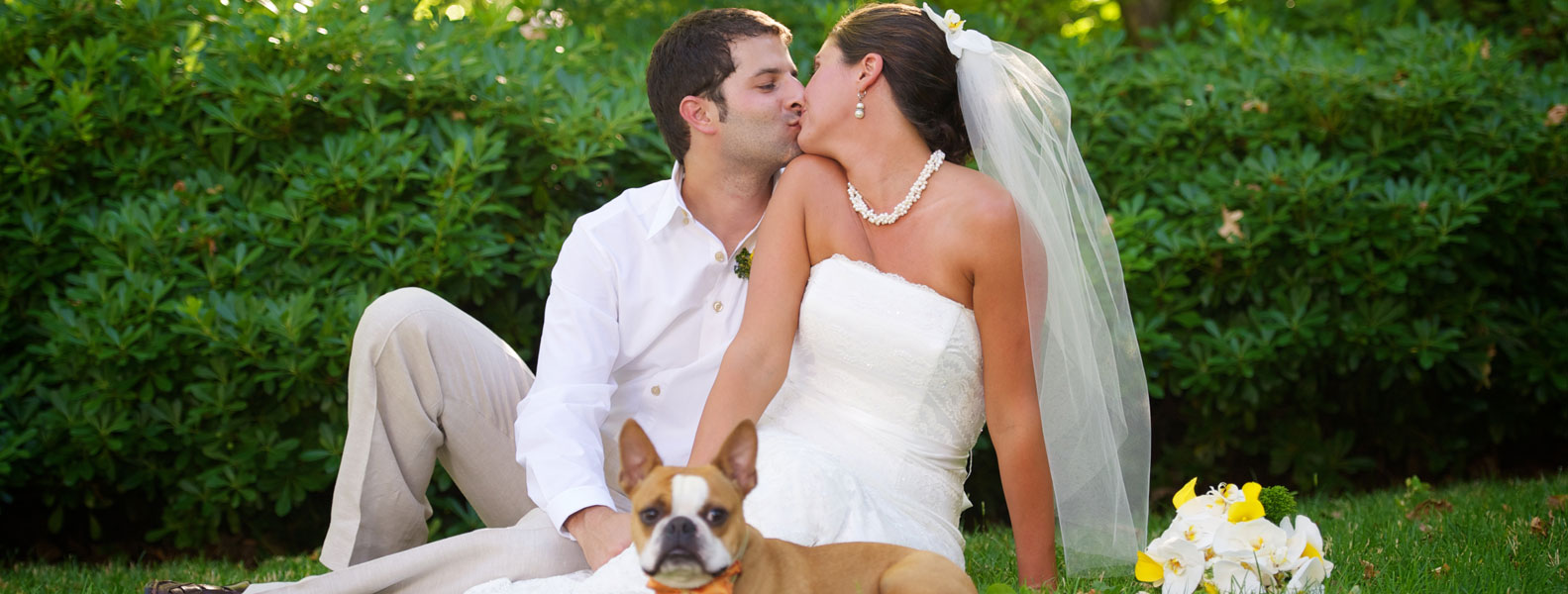 网页在线DDOS压力测试